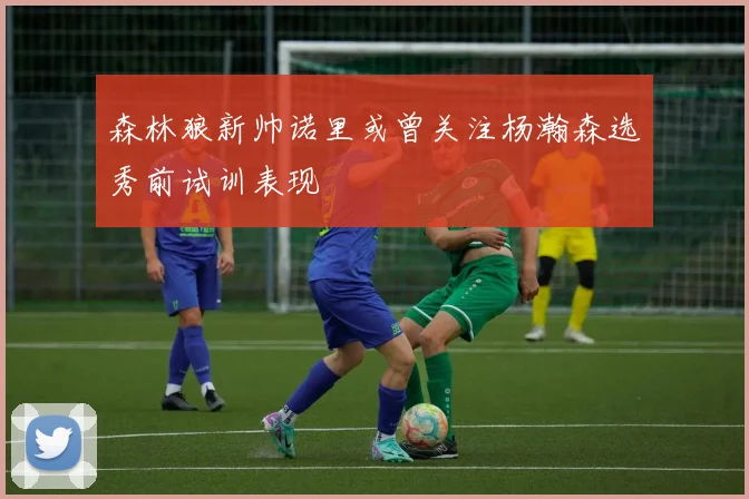 森林狼新帅诺里或曾关注杨瀚森选秀前试训表现